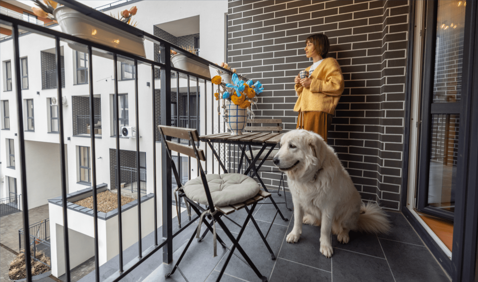 The Pet-Inclusive Scorecard: Is Your Property Pet-Inclusive?