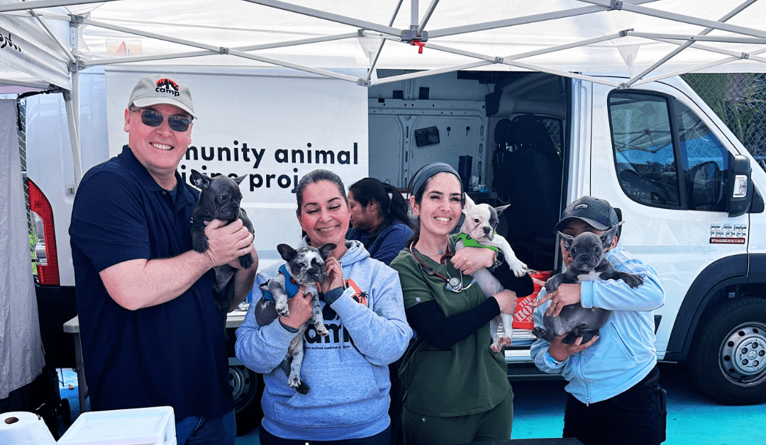 Boyle Heights Pet Wellness Day: 300 Pets & Families Served