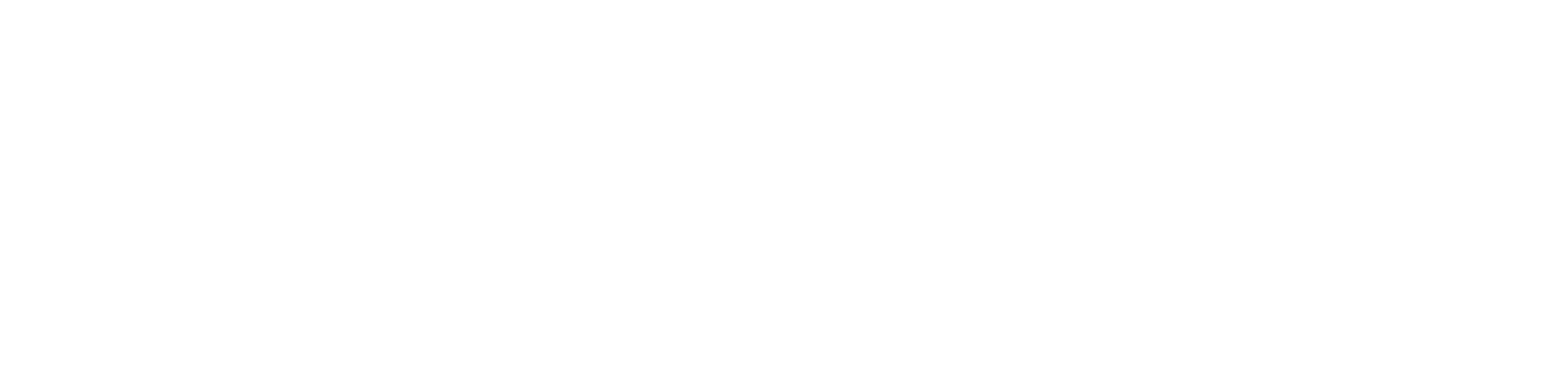 michelson 20mm foundation